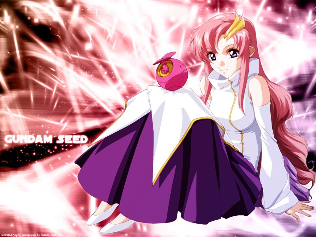 gundamseed18.jpg
